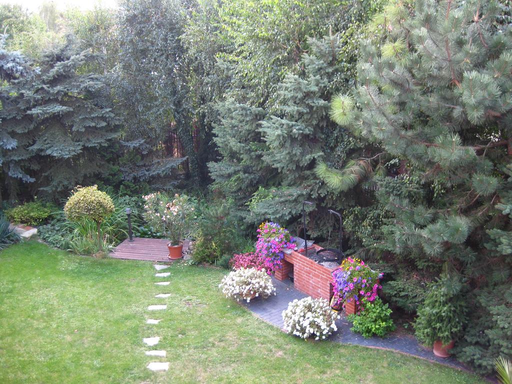 Pokoje Goscinne Pod Palmami Busko-Zdrój Exterior foto